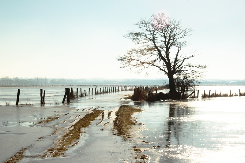 Killikus&reg; Fotographie