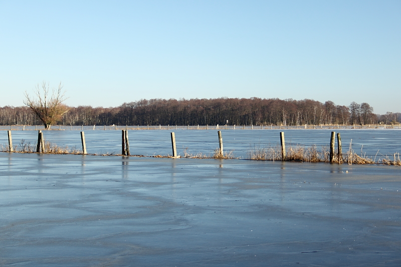 Killikus&reg; Fotographie