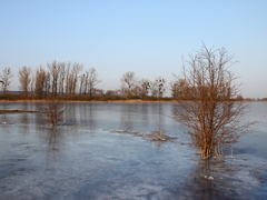 Killikus&reg; Fotographie