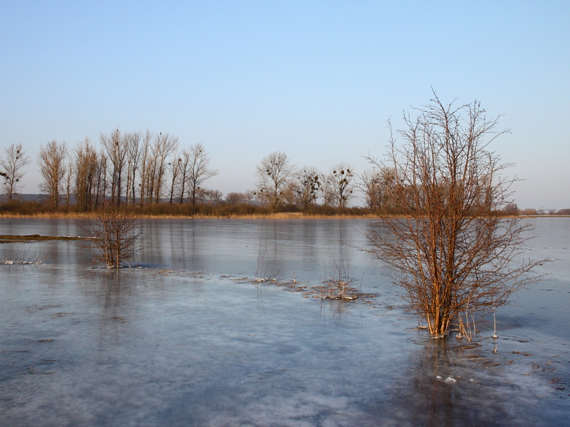 Killikus&reg; Fotographie