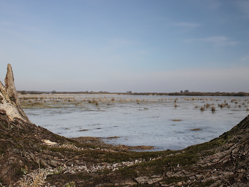 Killikus&reg; Fotographie