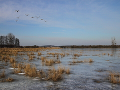 Killikus&reg; Fotographie