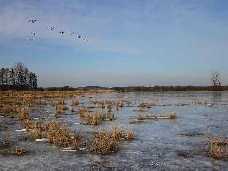 Killikus&reg; Fotographie