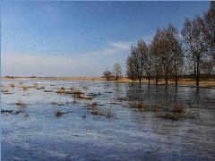 Killikus&reg; Fotographie