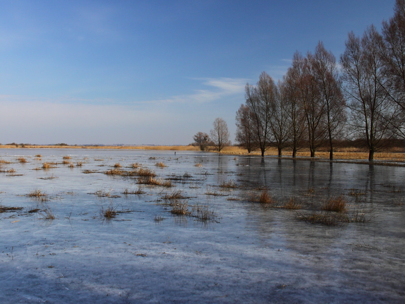 Killikus&reg; Fotographie