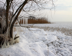 Killikus&reg; Fotographie