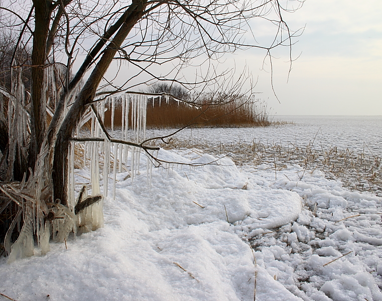 Killikus&reg; Fotographie