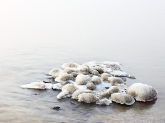 Killikus&reg; Fotographie