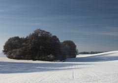 Killikus&reg; Fotographie