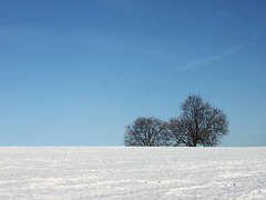 Killikus&reg; Fotographie