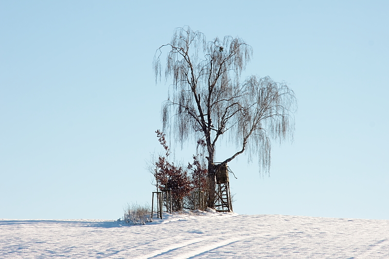 Killikus® Fotographie Killikus® Fotographie