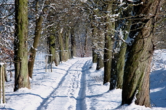 Killikus&reg; Fotographie