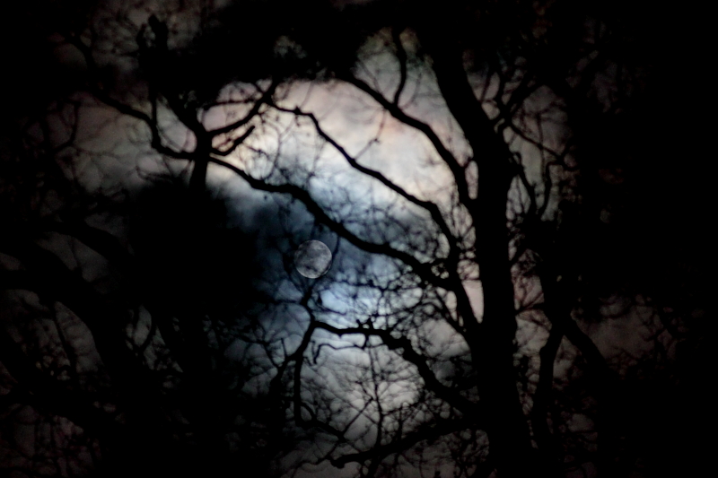 Killikus&reg; Fotographie