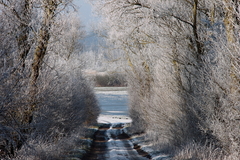 Killikus&reg; Fotographie