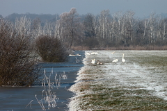 Killikus&reg; Fotographie