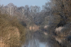 Killikus&reg; Fotographie