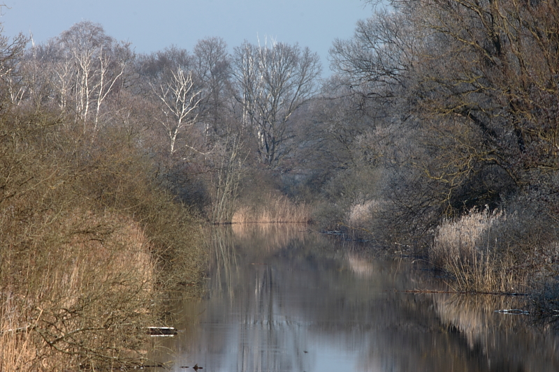 Killikus&reg; Fotographie