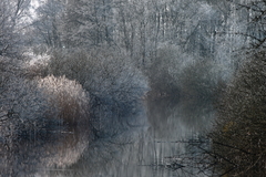 Killikus&reg; Fotographie