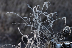 Killikus&reg; Fotographie