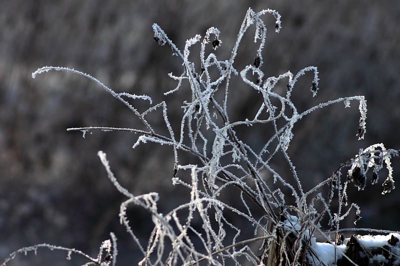 Killikus&reg; Fotographie