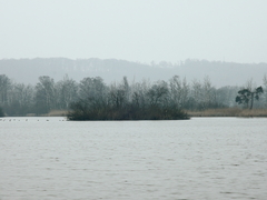 Killikus&reg; Fotographie