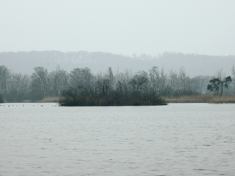 Killikus&reg; Fotographie