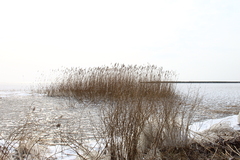 Killikus&reg; Fotographie