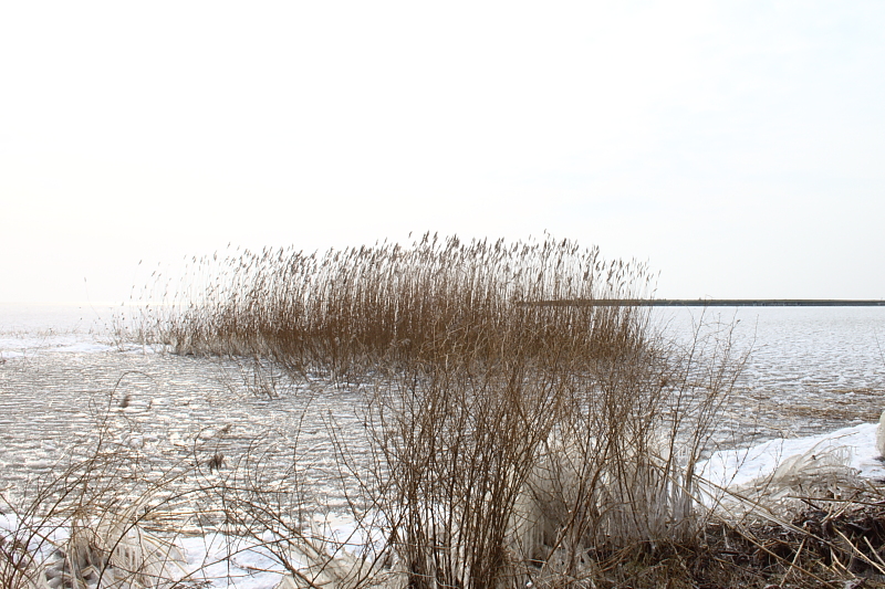 Killikus&reg; Fotographie