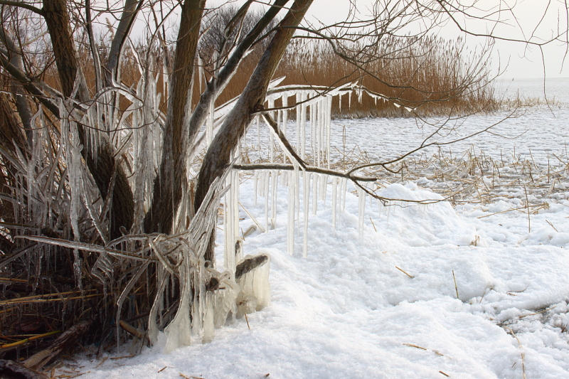 Killikus&reg; Fotographie