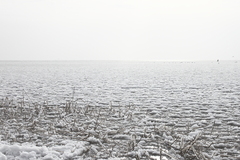 Killikus&reg; Fotographie