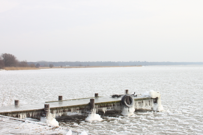 Killikus&reg; Fotographie