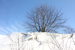 Killikus&reg; Fotographie