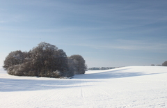 Killikus&reg; Fotographie