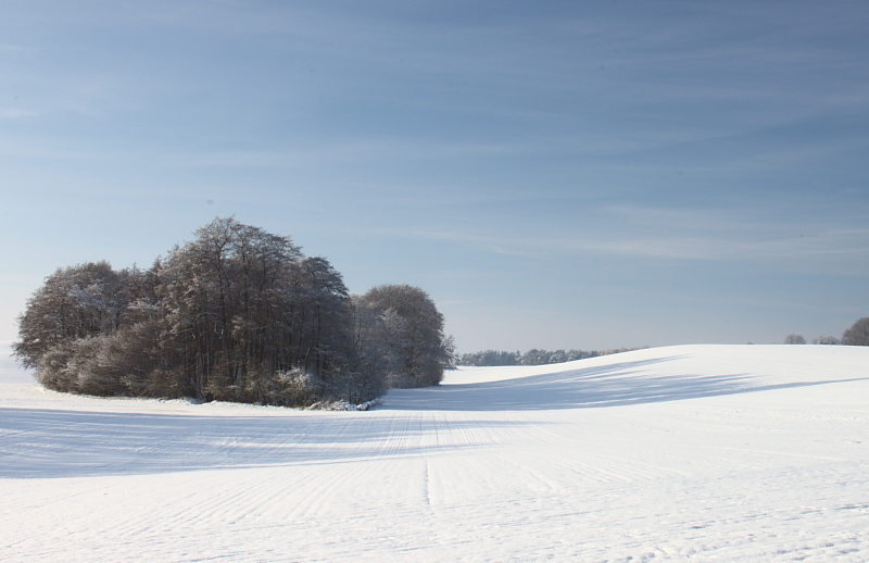 Killikus&reg; Fotographie