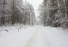 Killikus&reg; Fotographie