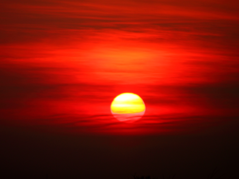 Killikus® Fotographie Killikus® Fotographie