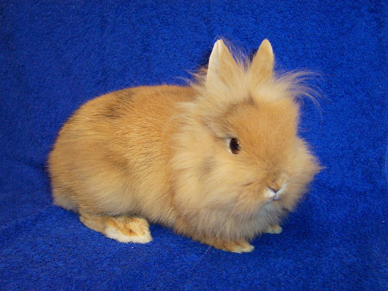 Killikus&reg; Fotographie