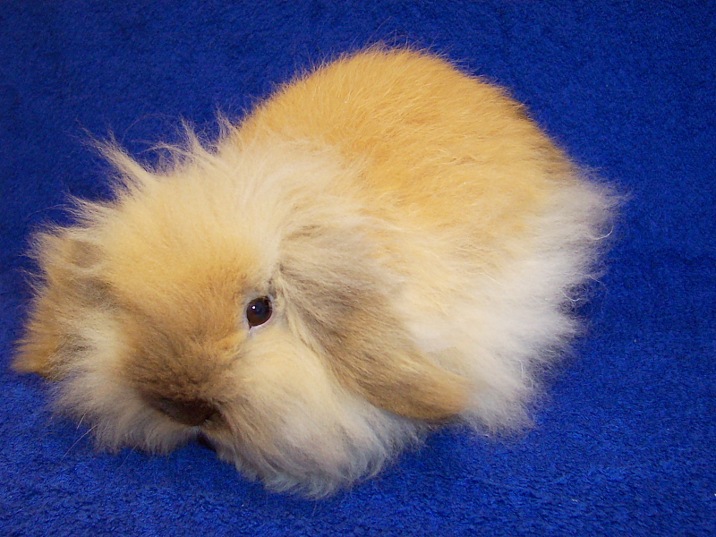 Killikus® Fotographie Killikus® Fotographie