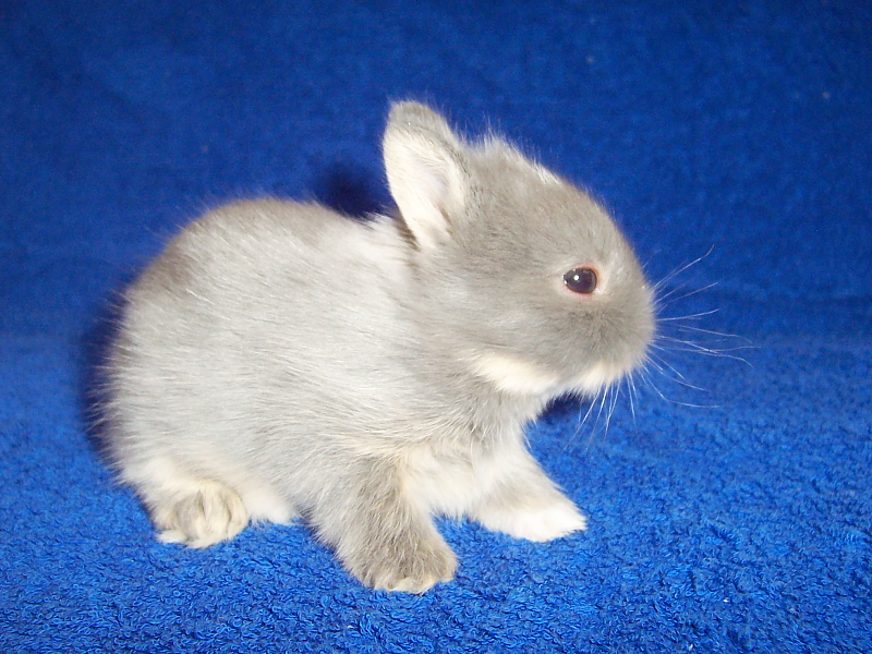 Killikus&reg; Fotographie