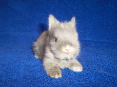 Killikus&reg; Fotographie