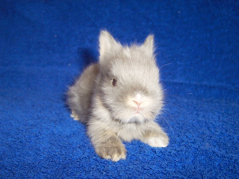 Killikus® Fotographie Killikus® Fotographie