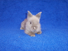 Killikus&reg; Fotographie