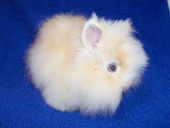 Killikus&reg; Fotographie