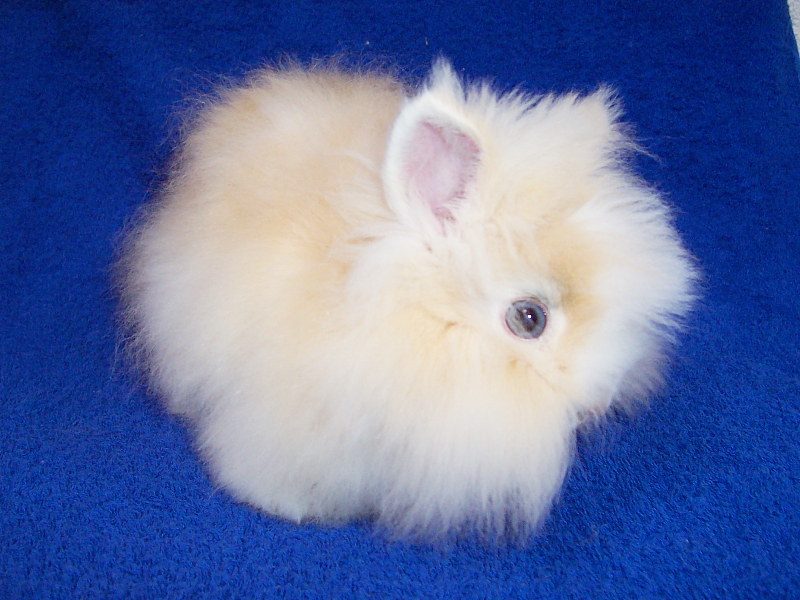 Killikus&reg; Fotographie