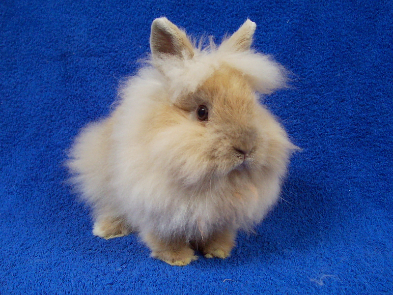 Killikus&reg; Fotographie