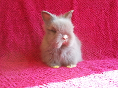 Killikus&reg; Fotographie