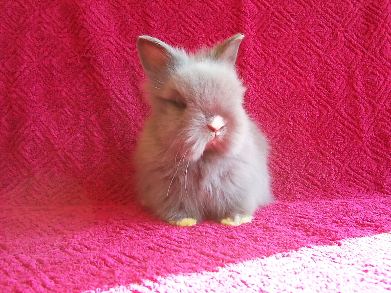 Killikus&reg; Fotographie