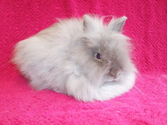 Killikus&reg; Fotographie