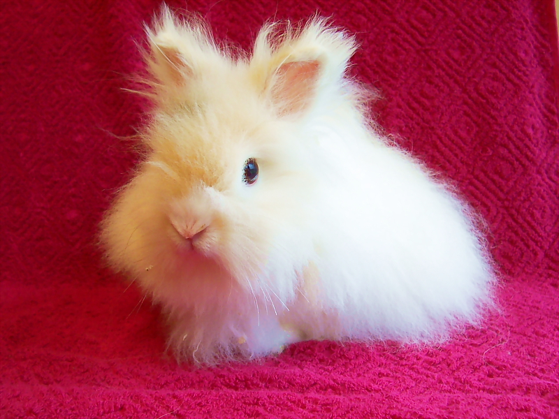 Killikus&reg; Fotographie