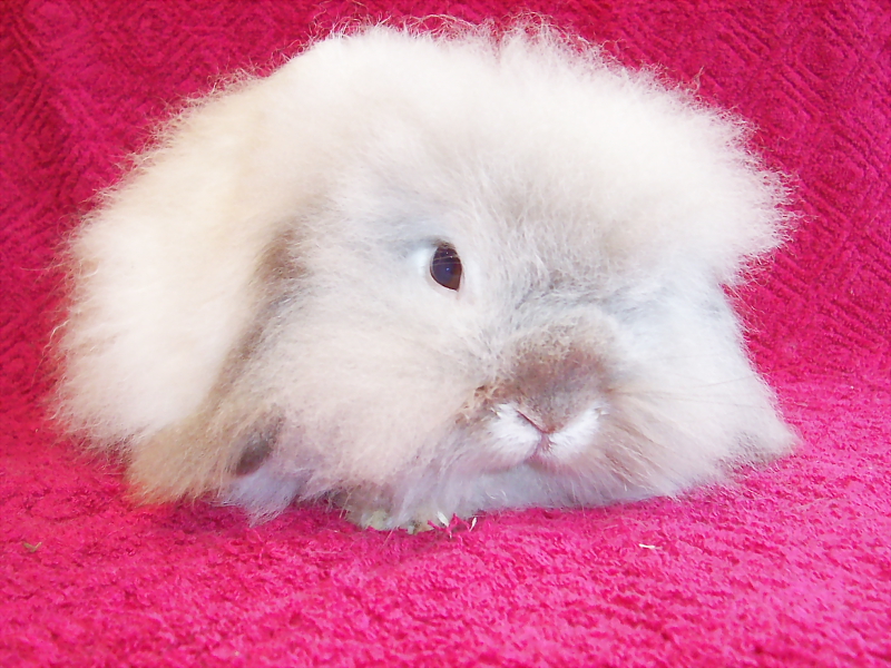 Killikus&reg; Fotographie